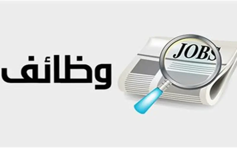 وزارة الشباب والرياضة تطرح وظائف برواتب مجزية وتأمينات في 8 محافظات مصرية